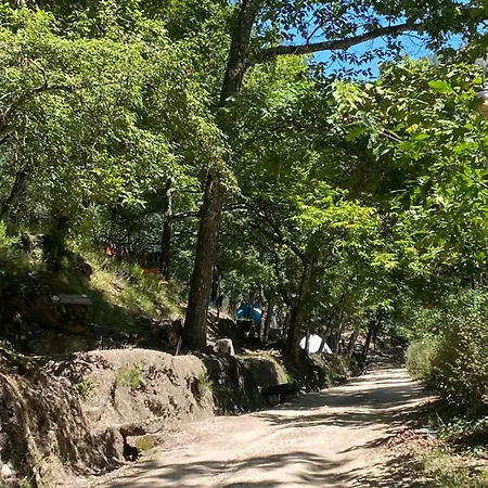 River Domek alpejski