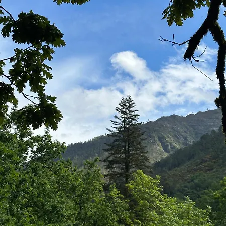 River Domek alpejski Bicas