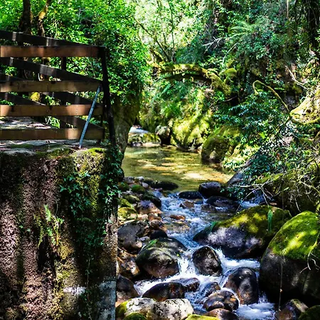 River شاليه Bicas