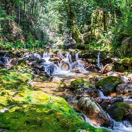 River Domek alpejski