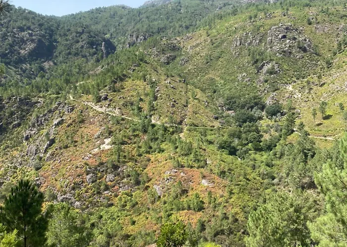 River Domek alpejski *