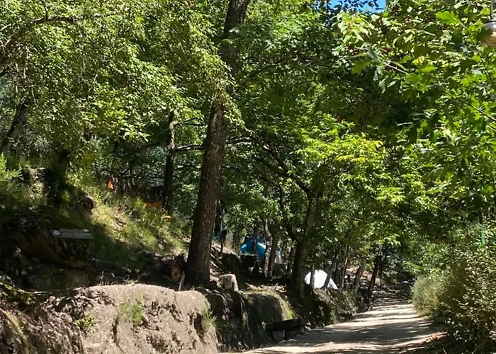 River Domek alpejski