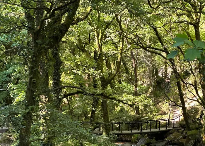 Alpehytte River Bicas