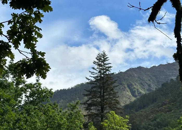 River Alpehytte Bicas