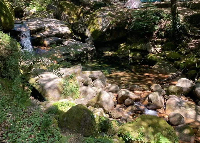 River Domek alpejski *