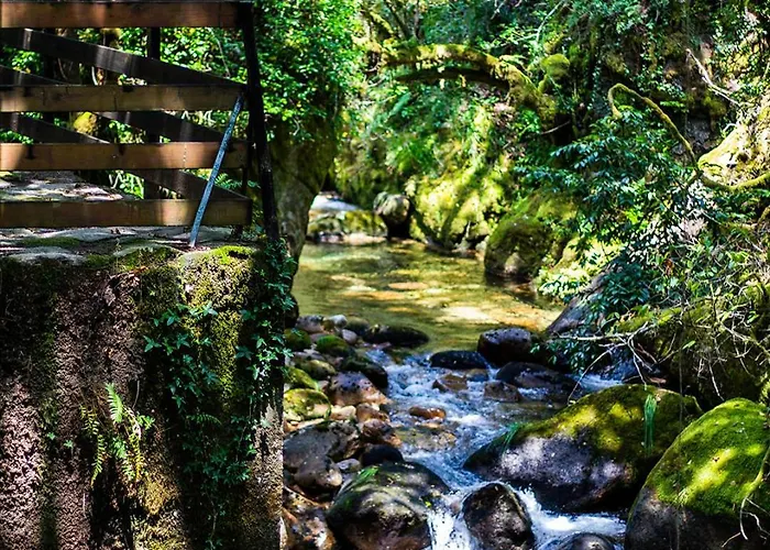 River Domek alpejski Bicas