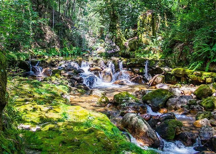 River شاليه