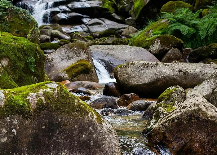River شاليه
